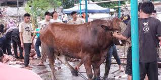 কোরবানির পশু জবাই করে পারিশ্রমিক নেওয়া যাবে?