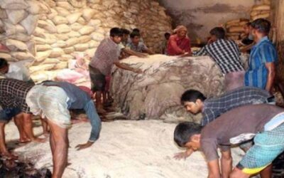 কোরবানির চামড়া সংরক্ষণে লবণ দেবে সরকার : বাণিজ্যমন্ত্রী