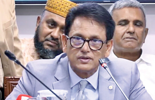 অনার্স কোর্স থেকে বাংলা ও ইতিহাস বাদ দেওয়ার কোনো পরিকল্পনা নেই: শিক্ষামন্ত্রী