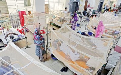 ২৪ ঘণ্টায় ডেঙ্গুতে মৃত্যু নেই, হাসপাতালে ভর্তি ১৩৯