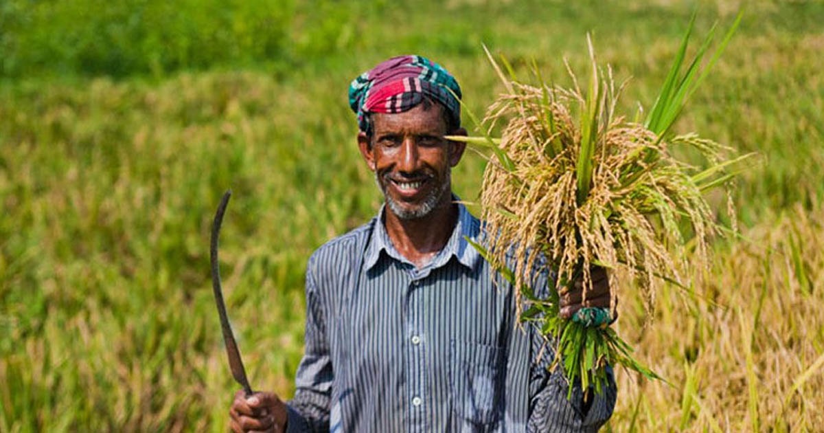 ৭ লাখের বেশি কৃষকের ৬০৫ কোটি টাকার ঋণ মওকুফ