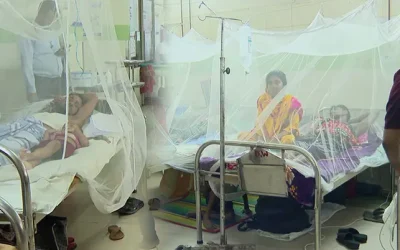 ডেঙ্গুতে ২৪ ঘণ্টায় ৬ জনের মৃত্যু, হাসপাতালে ভর্তি ২ হাজার ৮৮