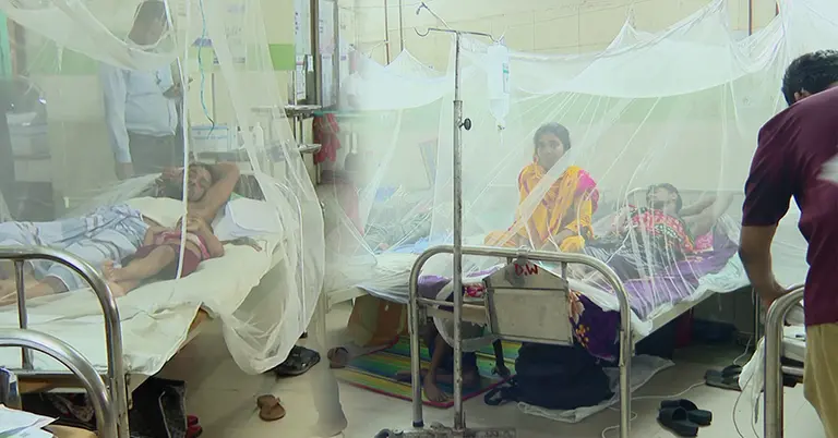 ডেঙ্গুতে ২৪ ঘণ্টায় ৬ জনের মৃত্যু, হাসপাতালে ভর্তি ২ হাজার ৮৮